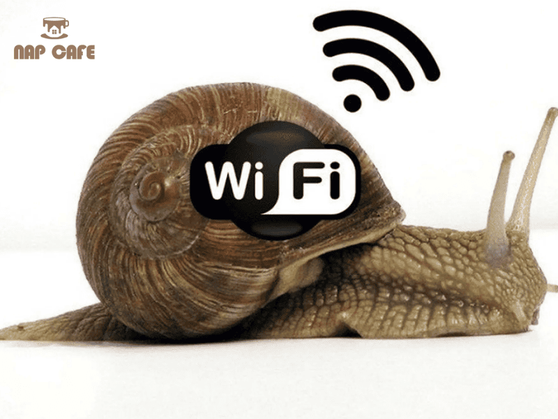 Mạng wifi chậm như rùa ảnh hưởng đến hiệu suất công việc
